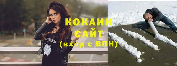 ECSTASY Богданович