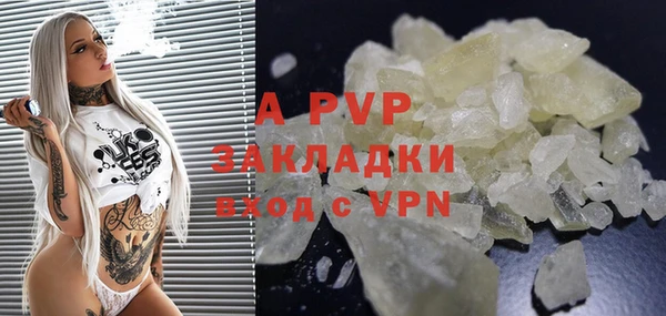 ECSTASY Богданович