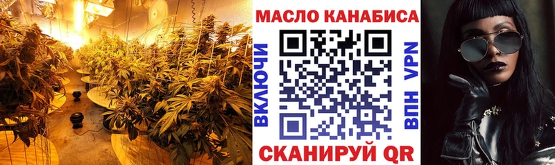 купить  сайты  Мезень  ТГК концентрат 