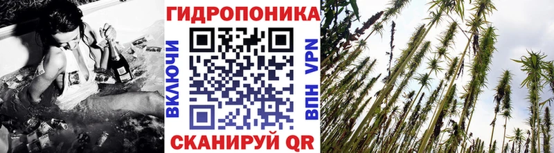 Марихуана Amnesia  как найти наркотики  Мезень 